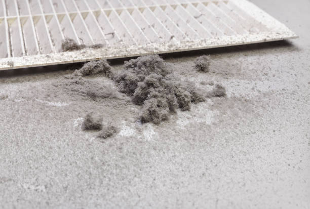 Best Air Duct Cleaning Company Near Me  in Wilson, OK